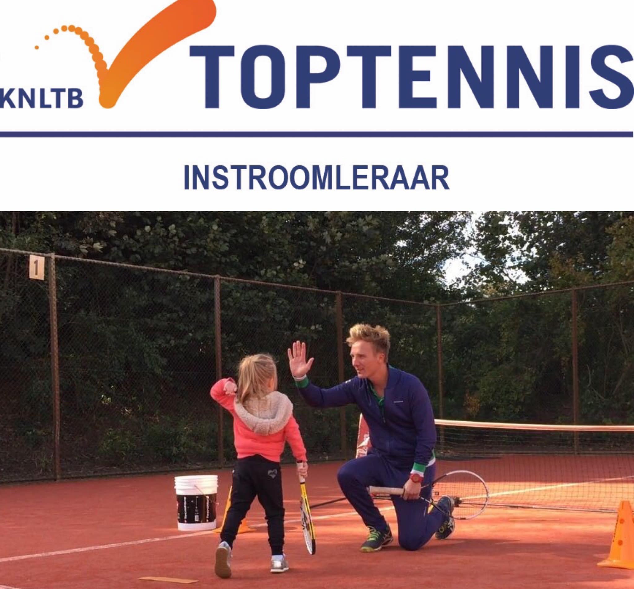 iets over de afbeelding